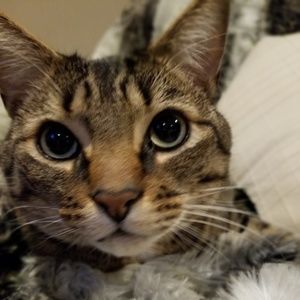 Meet your Posher, Ashley